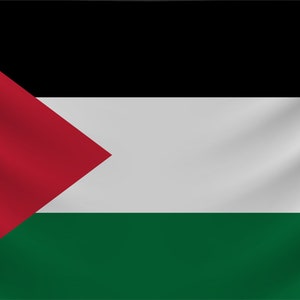 Può includere: La bandiera della Palestina, con un triangolo rosso su sfondo nero, bianco e verde.