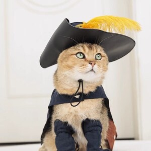 Puss in boots fancy dress discount