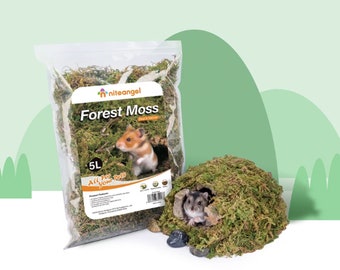 Mousse forestière pour hamster, Cadeau pour hamster, Fleurs et plantes naturelles pour hamster, Accessoires pour hamster, Décoration de cage pour hamster, Nourriture et friandises pour animaux de compagnie