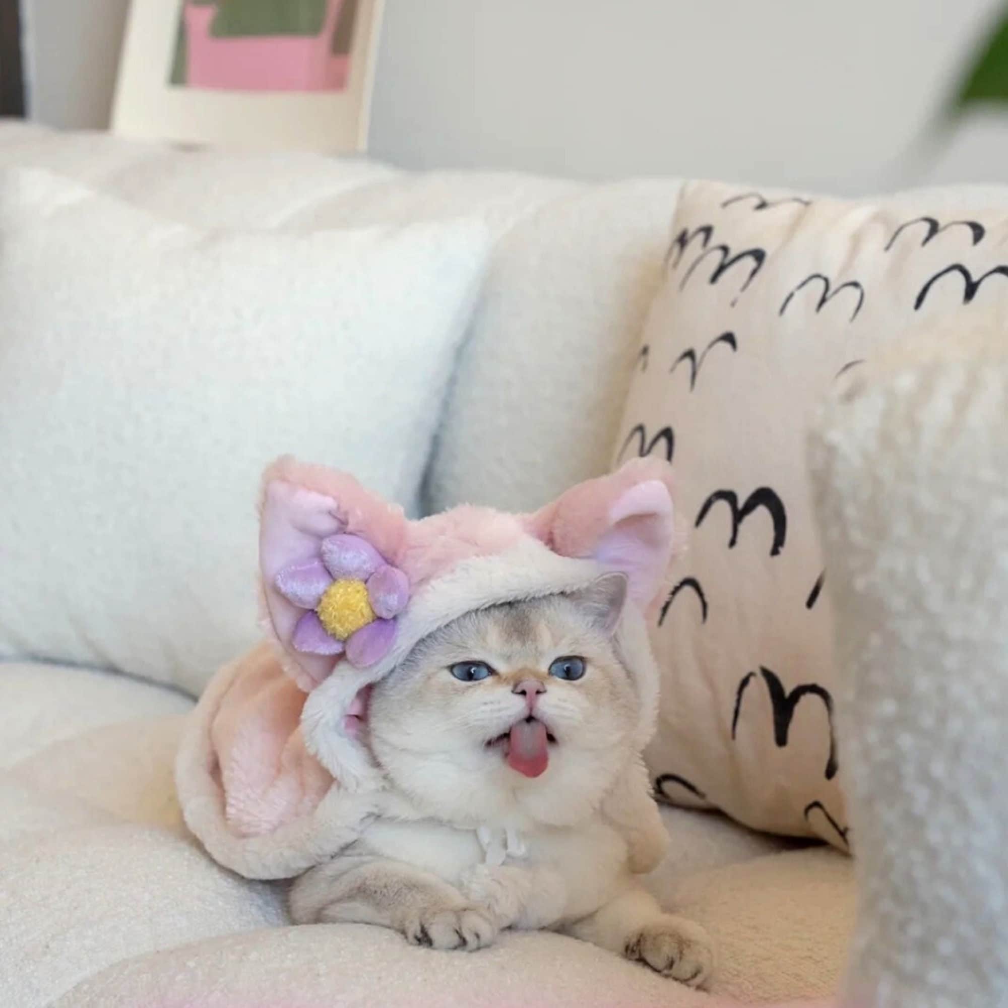 Gna Belle Cute Cat Dog Cloak Plush Pet Cloak Kitty Cape 