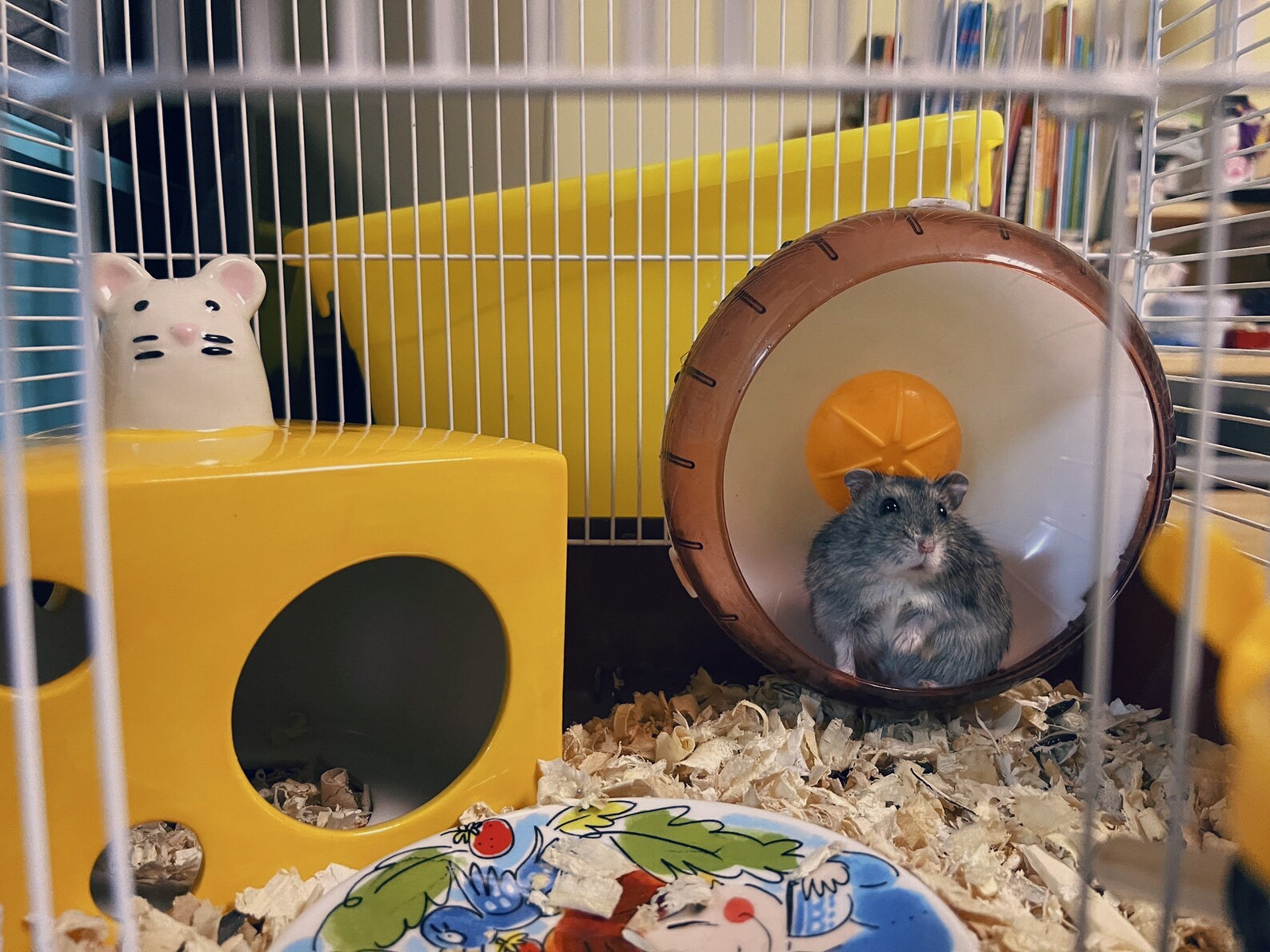 Cheese Hamster Hideout Ceramic Hamster House Hamster Etsy