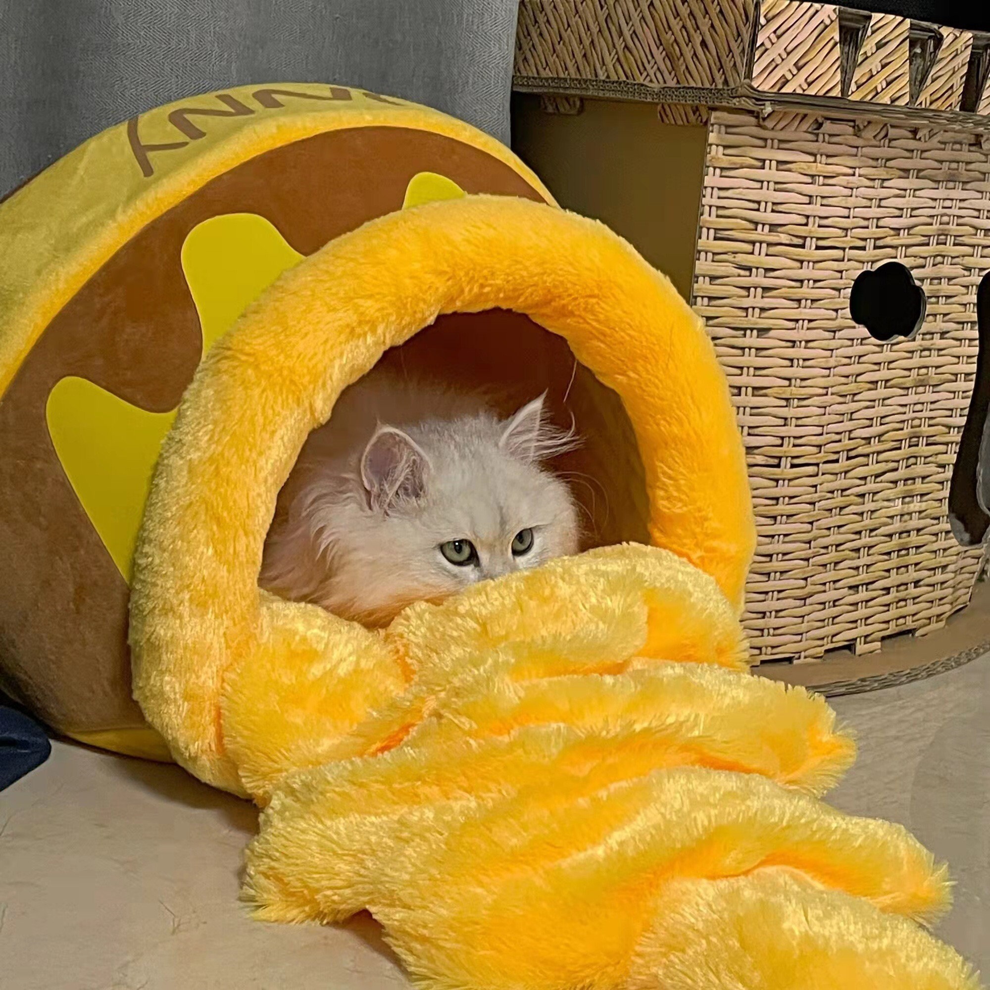 Honey Pot Cute Cat Dog Cave Warm Cat Dog House Calming Cat Etsy
