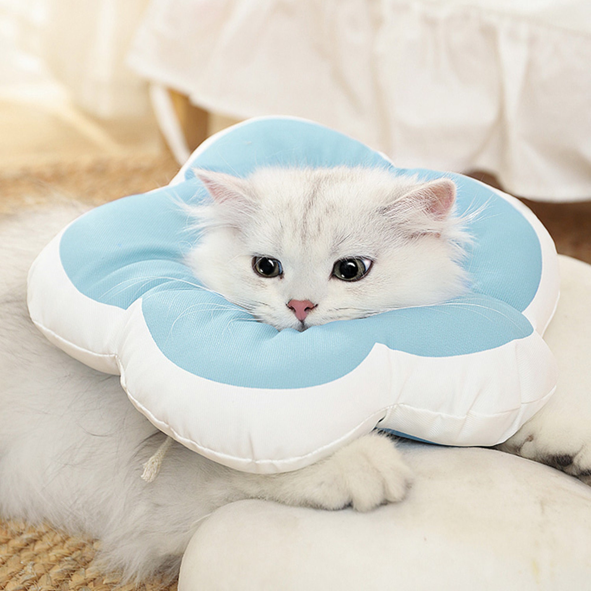 tiopeia Soft Recovery Cone Collar After Surgery Wound Protective Soft Edge Elizabethan Collar for Pets Kitten Small Dogs and Medium Dogs 