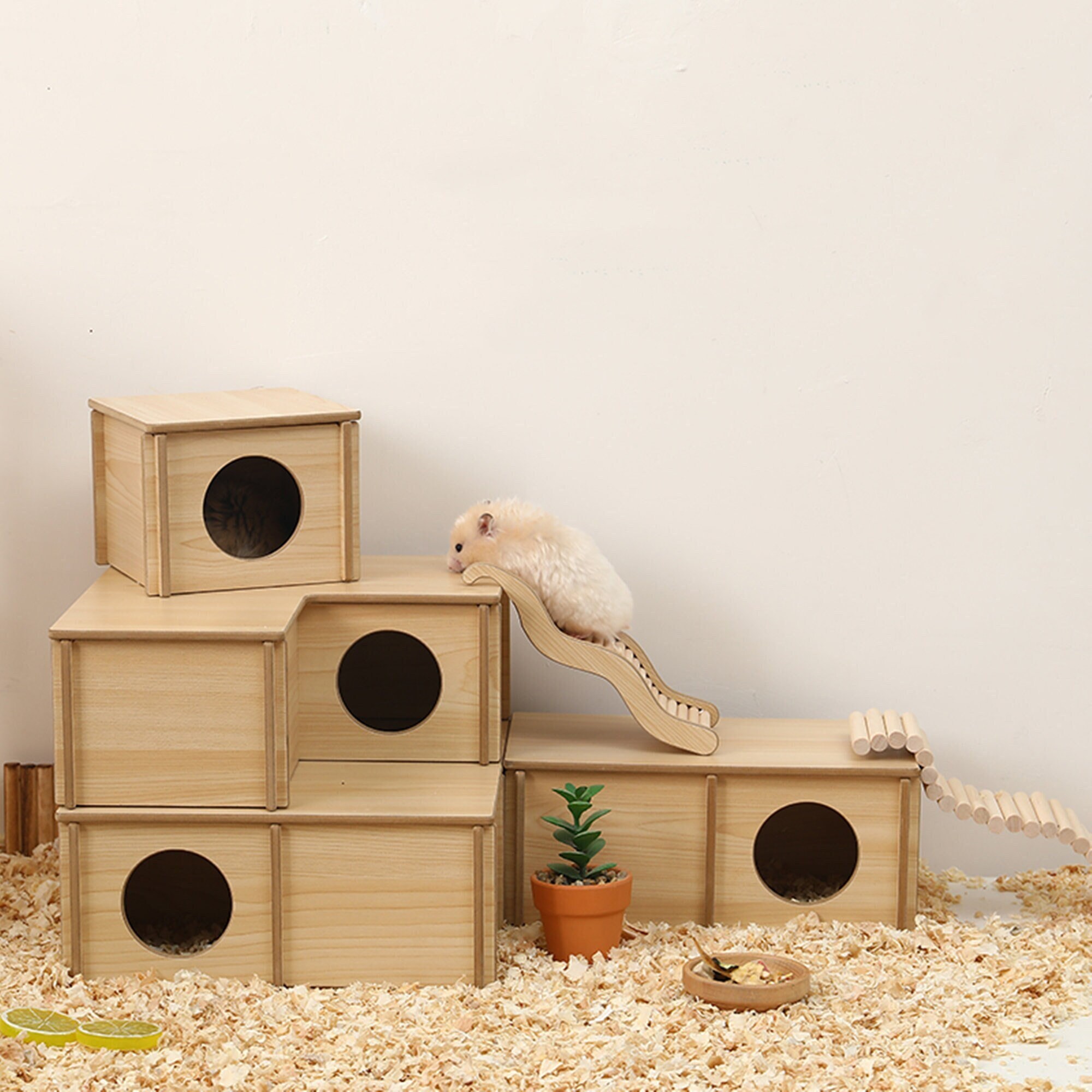 accessories hamster