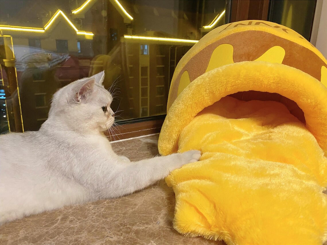 Honey Pot Cute Cat Dog Cave Warm Cat Dog House Calming Cat Etsy