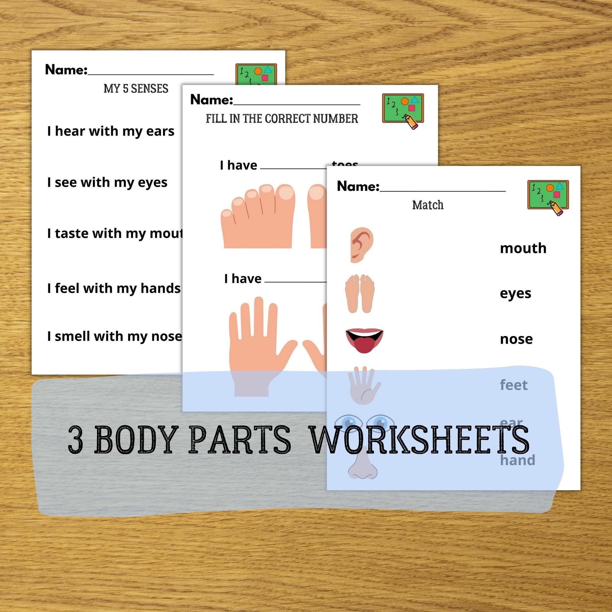 printable body parts worksheet printable body parts bundle etsy