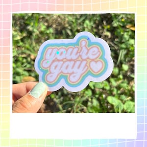 2,8" You're Gay holografische waterbestendige handgetekende Pride-sticker! | LGBTQIA+ Pride holografische sticker! | Pride Month is elke maand!