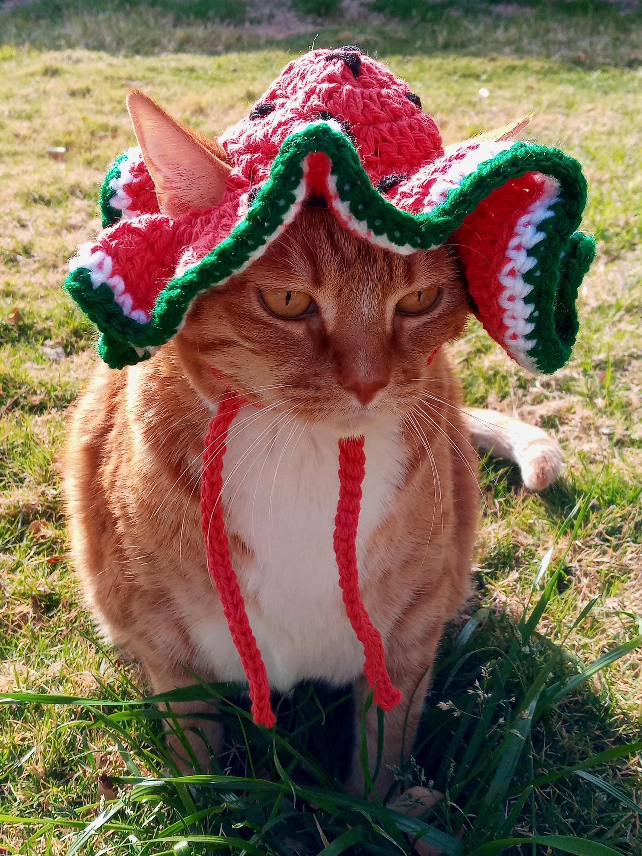 Crocheted Watermelon Ruffle Sunhat for Cats and Dogs! - Etsy