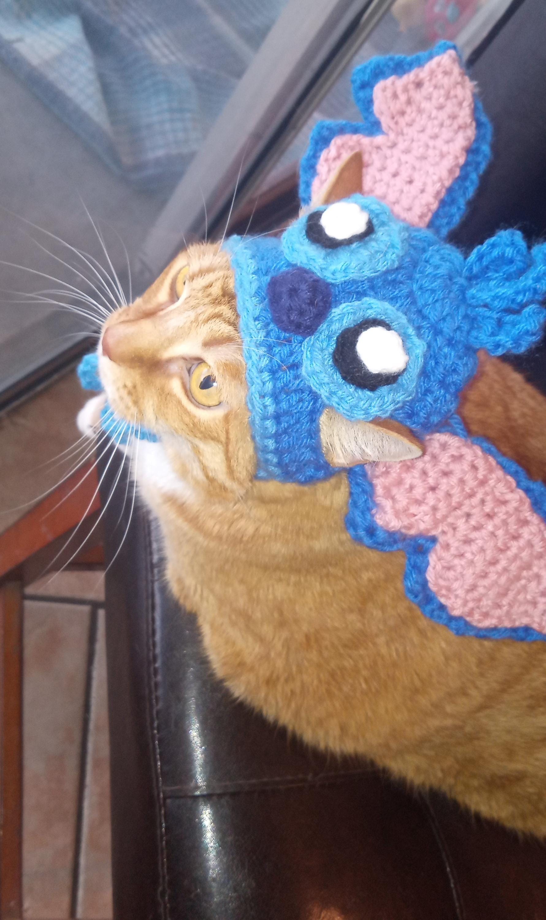 Pinterest Cute Kitten Costumes Stitch Cat Costume