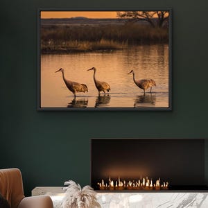 Sandhill Cranes Sunset Print – Bosque del Apache Wildlife Photography, Southwest Wall Art
