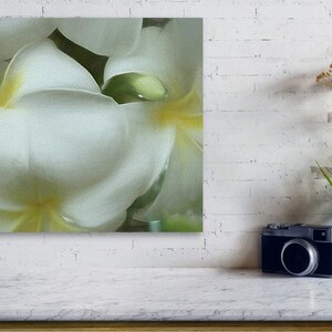 Hawaiian White Plumeria Mirrored Sides Gallery Wrap Canvas Print image 3