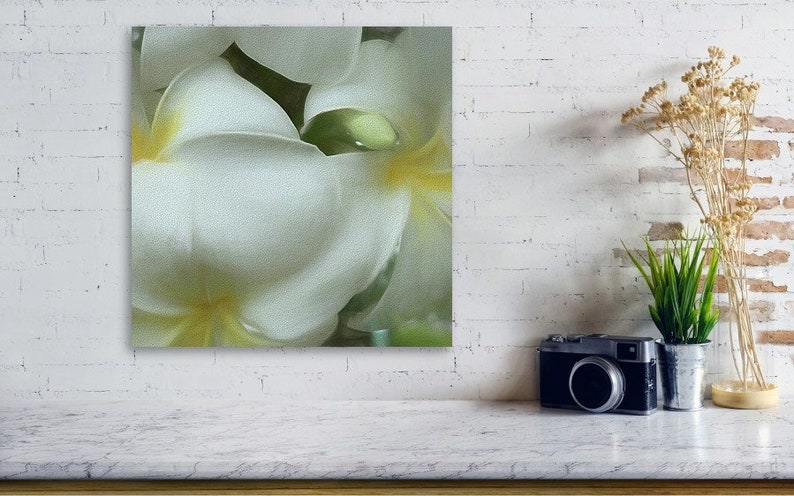 Hawaiian White Plumeria Mirrored Sides Gallery Wrap Canvas Print image 3