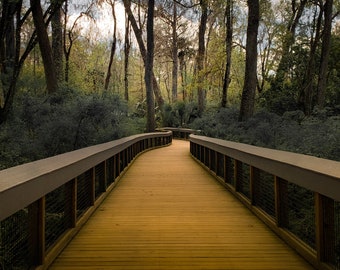 Moody Florida Boardwalk - Matted Fine Art Photography Print