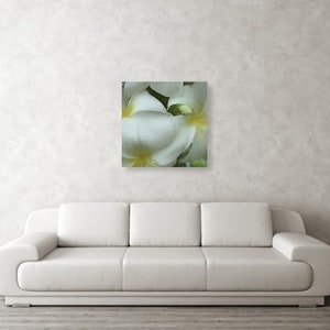 Hawaiian White Plumeria Mirrored Sides Gallery Wrap Canvas Print image 4