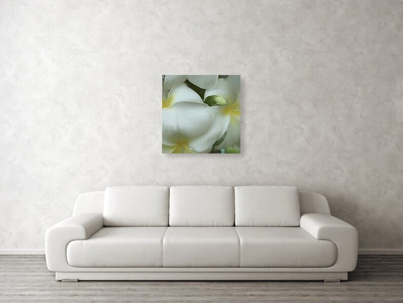 Hawaiian White Plumeria Mirrored Sides Gallery Wrap Canvas Print image 4