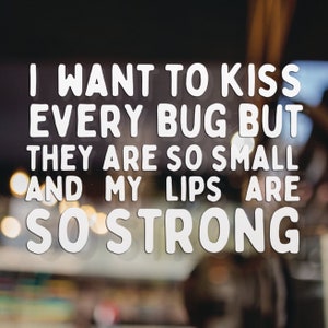 Pegatina divertida para coche "Quiero besar a todos los insectos" - Pegatina de arte paródico