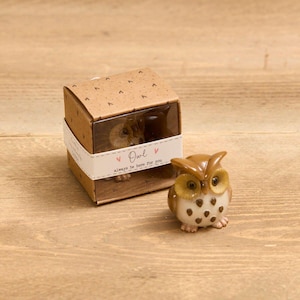 Könnte beinhalten: Eine Keramik-Eulenfigur in Braun und Weiß, mit einer passenden Geschenkbox. Die Box hat ein klares Fenster und ein Band mit der Aufschrift "Owl always be here for you". Die Eulenfigur ist etwa 8 cm hoch.