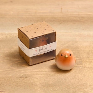 Robin appear when loved ones are near….resin keepsake ornament with gift box pocket hug