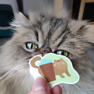 Pode incluir: Um gato marrom e branco com olhos verdes olha para um adesivo de um gato marrom segurando uma planta em vaso. O adesivo tem um fundo verde e o texto "Plant Parent" nele.