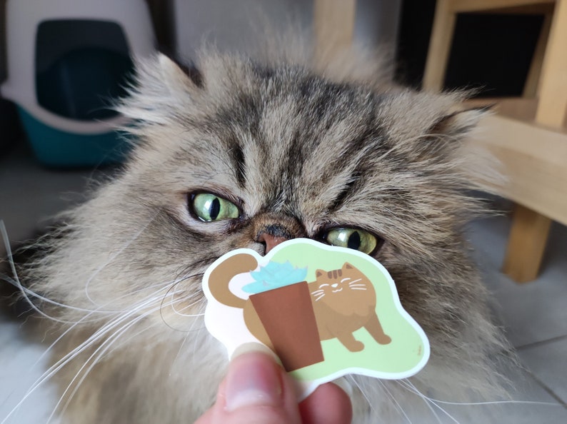 Pode incluir: Um gato marrom e branco com olhos verdes olha para um adesivo de um gato marrom segurando uma planta em vaso. O adesivo tem um fundo verde e o texto "Plant Parent" nele.