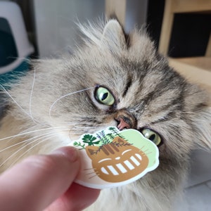 Pode incluir: Um gato felpudo, cinza e marrom com olhos verdes est&aacute; olhando para um adesivo de um gato marrom com plantas verdes na cabe&ccedil;a. O adesivo tem um fundo branco e o gato est&aacute; sorrindo.