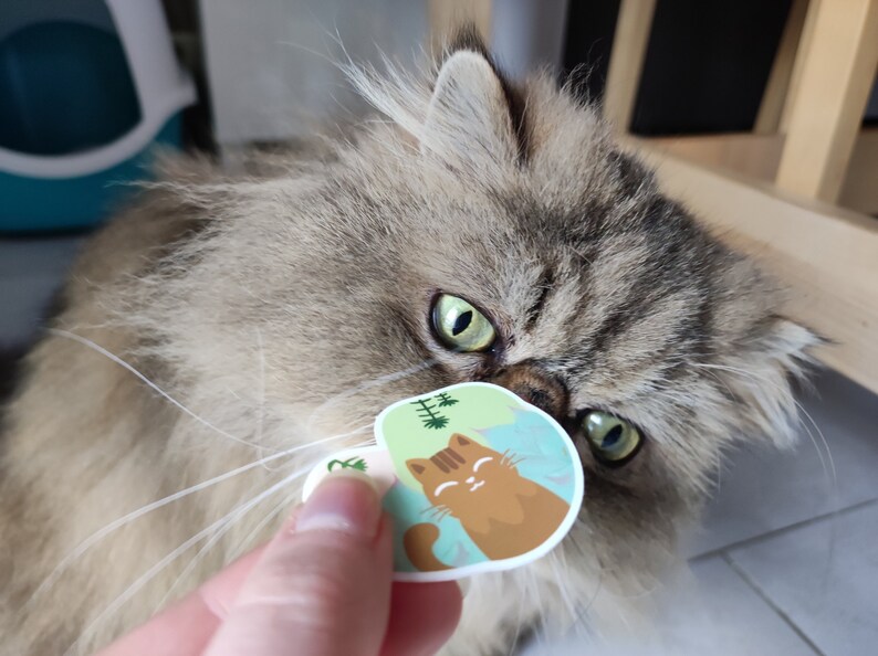 Pode incluir: Um close-up do rosto de um gato com olhos verdes. O gato est&aacute; olhando para um adesivo com um gato de desenho animado. O adesivo &eacute; verde, amarelo e marrom com fundo branco. O adesivo tem o texto "Happy Cat".