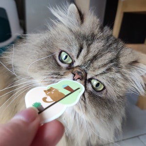 Pode incluir: Um gato felpudo, cinza e marrom com olhos verdes olha atentamente para um adesivo com um gato de desenho animado em uma plataforma verde. O adesivo est&aacute; sendo segurado em uma m&atilde;o.