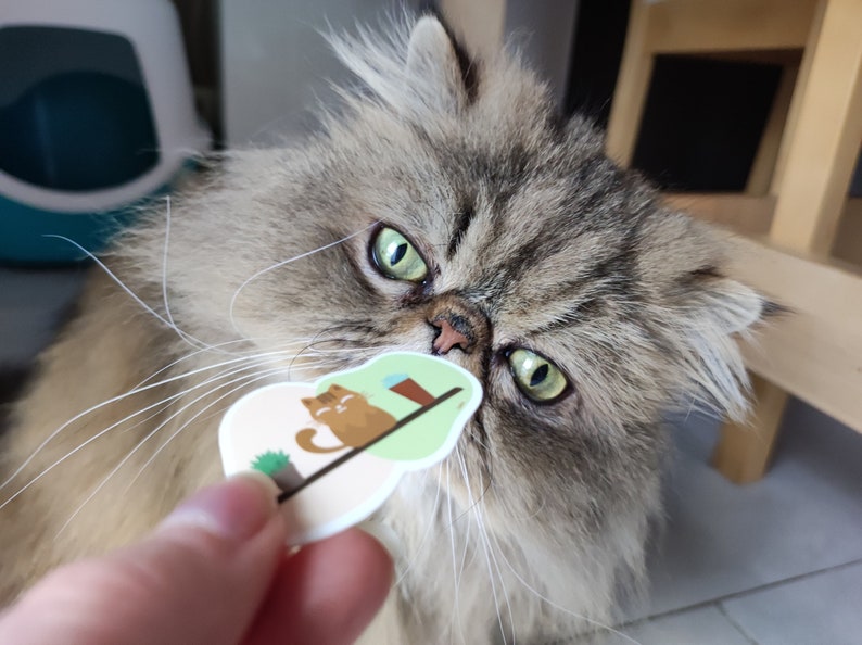 Pode incluir: Um gato felpudo, cinza e marrom com olhos verdes olha atentamente para um adesivo com um gato de desenho animado em uma plataforma verde. O adesivo est&aacute; sendo segurado em uma m&atilde;o.