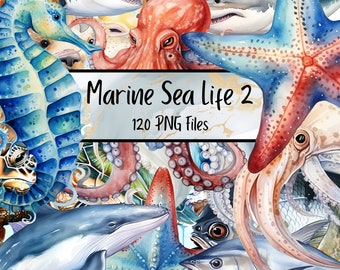 Marine Sea Life Part 2 Watercolor Clipart Bundle 120 PNG -  Sea Animals Images, Transparent Background, Digital Download, Commercial Use, Ai