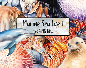Marine Sea Life Part 1 Watercolor Clipart Bundle 120 PNG -  Sea Animals Images, Transparent Background, Digital Download, Commercial Use, Ai