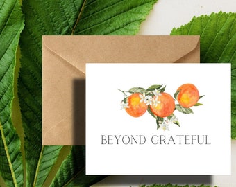 Clementine Orange Beyond Grateful  Note cards Citrus Clementine Bright Fruit Thank You Cards with envelopes
