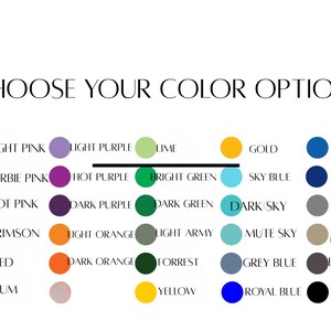 May include: A white background with the text "CHOOSE YOUR COLOR OPTION" above a grid of color swatches. The swatches include various shades of pink, purple, green, blue, orange, brown, and black, with each color labeled.