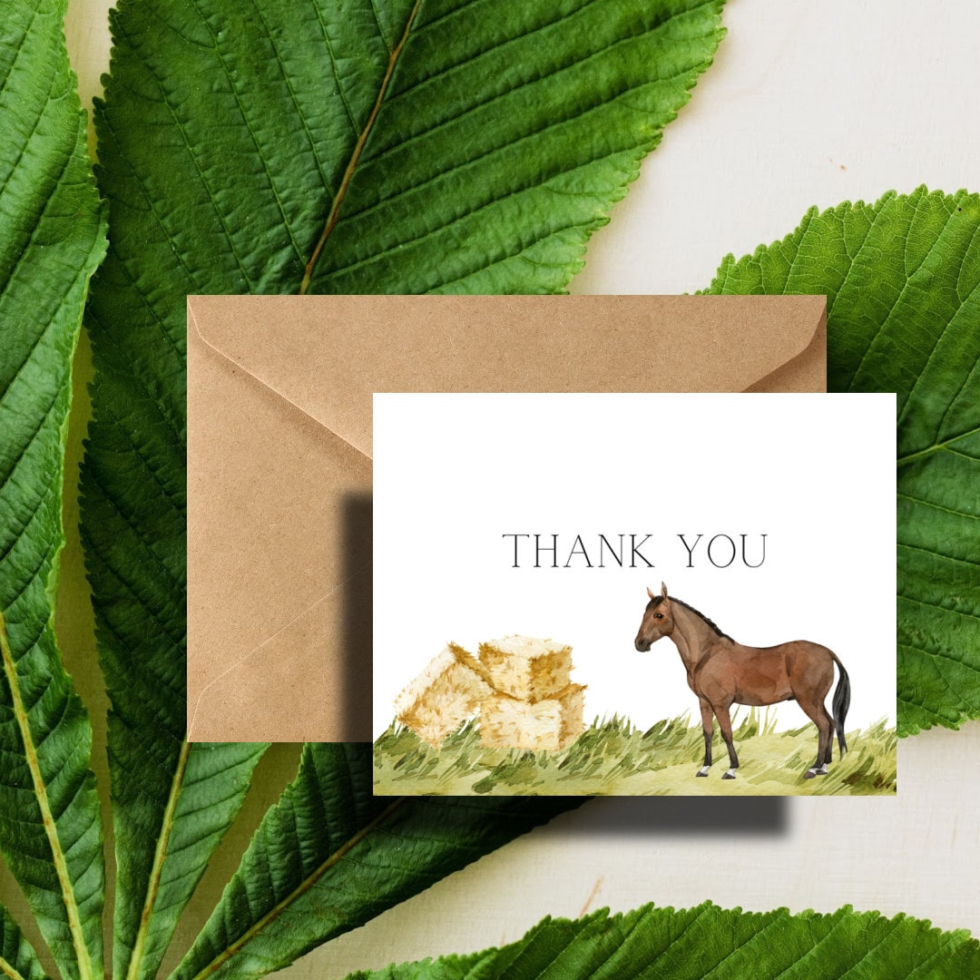 Brown Horse Thank You Cards Pack With Envelopes - Etsy
