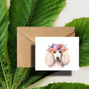 May include: A white poodle with a flower crown made of pink, purple, and orange flowers. The dog is looking directly at the viewer.