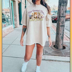 Op de afbeelding: Een beige oversized t-shirt met een afbeelding van kittens en de tekst "You Passed The Vibe Check".