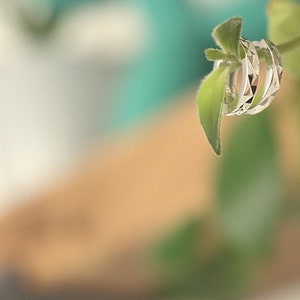 May include: A set of three silver rings with a geometric design, hanging from a green leaf.
