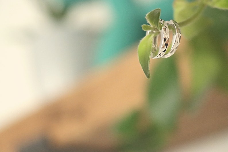 May include: A set of three silver rings with a geometric design, hanging from a green leaf.