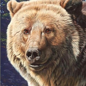 Grizzly Bear Fabric Quilt Panel by Riley Blake, 36&quot; x 45&quot;, 100% Cotton Fabric