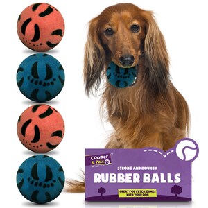 Hard rubber hotsell balls for dogs