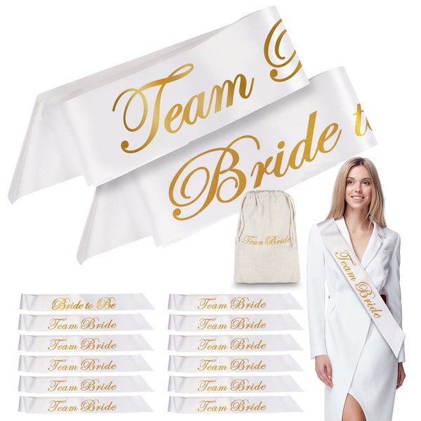 14 hen party sashes & bag |13 team bride  bride to be sash night do accessories