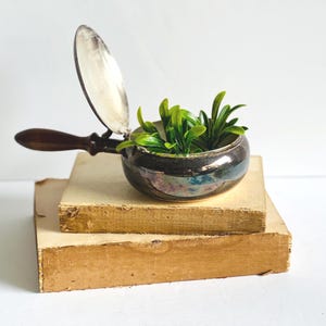 Vintage Silent Butler Silverplate Crumb Catcher with Wood Handle