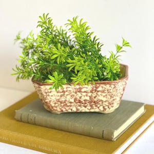 Vintage Yellow Brown Speckled Glaze Planter: Mid Century Succulent Pot