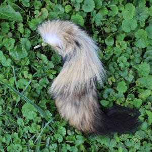 Coyote Tail Keychain
