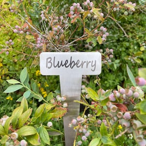 Garden Markers| Personalized metal garden marker | yard tag| Personalised plant label | large stainless steel yard label w/ custom engraving