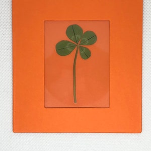 Trébol de la suerte laminado en mini soporte fotográfico de papel - Múltiples colores