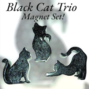 Holographic Black Cat Magnets: Witchy Eco-Resin Decor, Set of 3