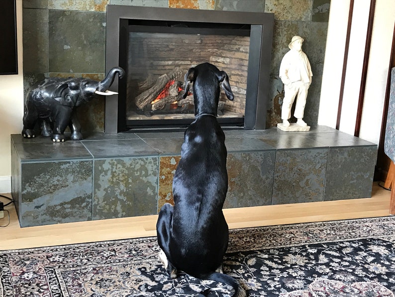 STOLA Saluki Rescue Calendar 2024 - Etsy