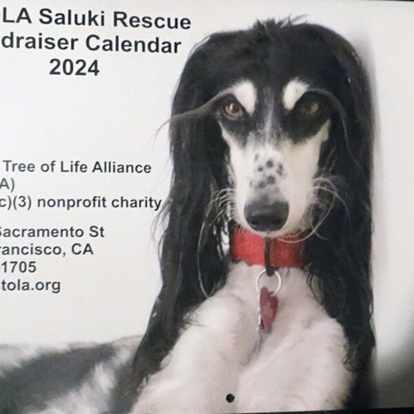 2024 Dog Calendar Etsy