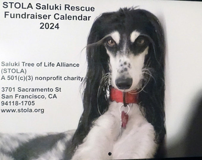 STOLA Saluki Rescue Calendar 2024 Etsy
