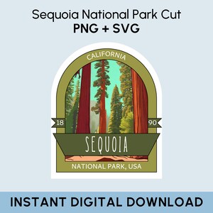 May include: A green and brown sticker with a graphic of a forest of tall redwoods in Sequoia National Park, California. The sticker says "CALIFORNIA" at the top, "SEQUOIA NATIONAL PARK, USA" at the bottom, and "18" and "90" on the sides.